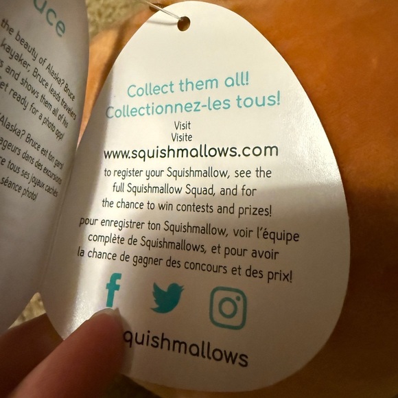 Bruce the Walrus Squishmallow 6.5” - Picture 7 of 8